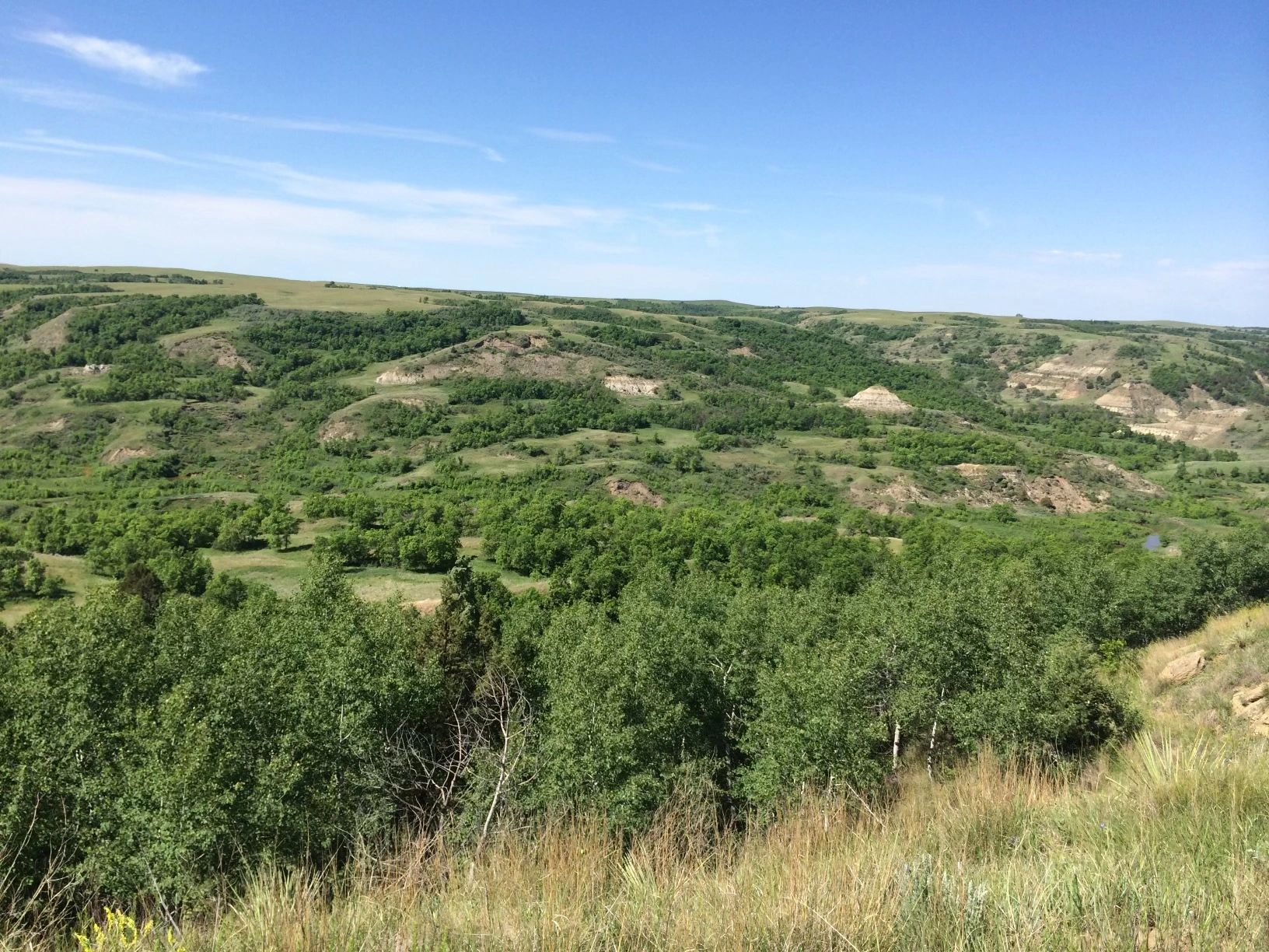 Elite Ranch Consulting Ranch, Consulting, Real Estate Consultant